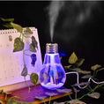 Perfume Diffusers & Humidifiers