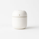 Portable Mini USB Humidifier with Light, Cool Mist & Essential Oil Diffuser (250ML)