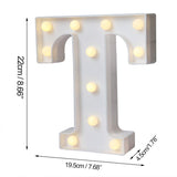 Decorative LED Night