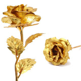 0879 B Golden Rose used in all kinds of places like household, offices, cafe's, etc. for decorating and to look good purposes and all. 