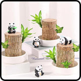 Imported Brazilian Lucky Wood, Mini Home Plant Decorations to Bring You Luck